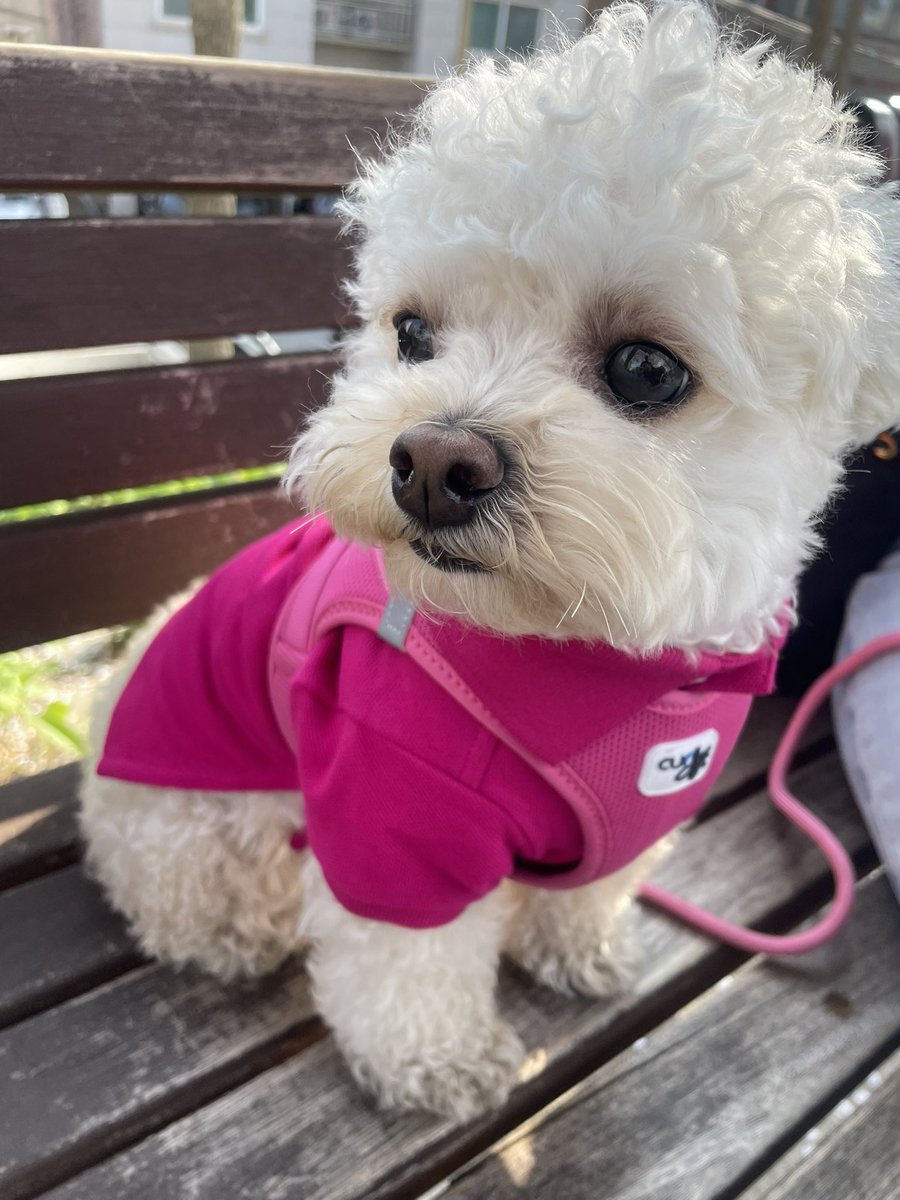 최밥풀 tweet media