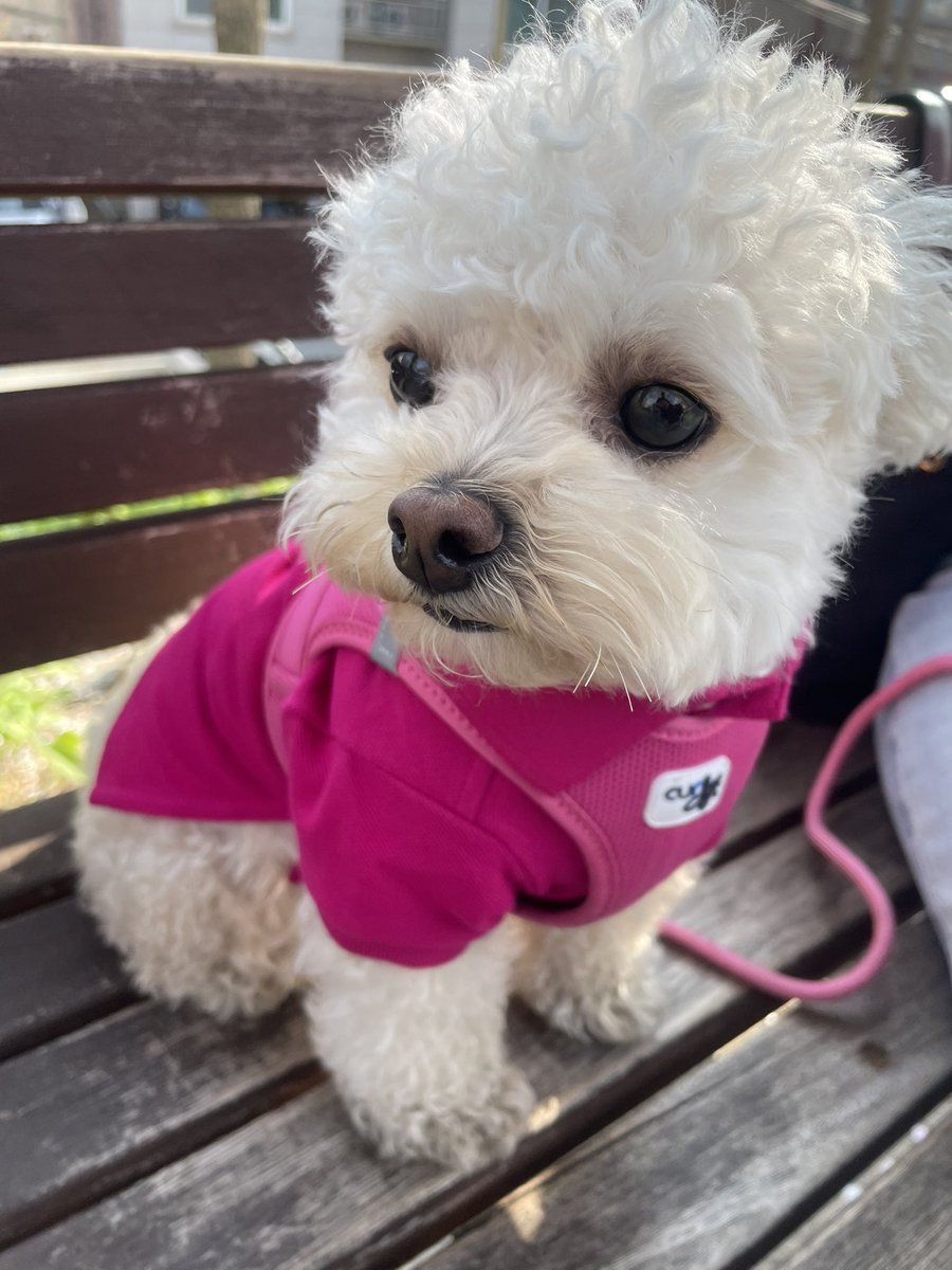 최밥풀 tweet media