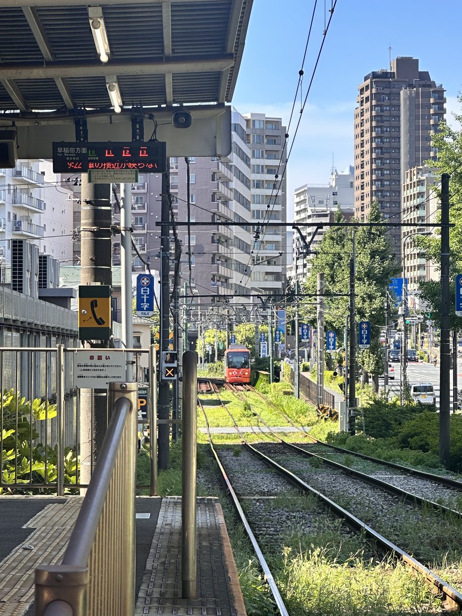 𝙆𝙄𝙔𝘼 tweet media