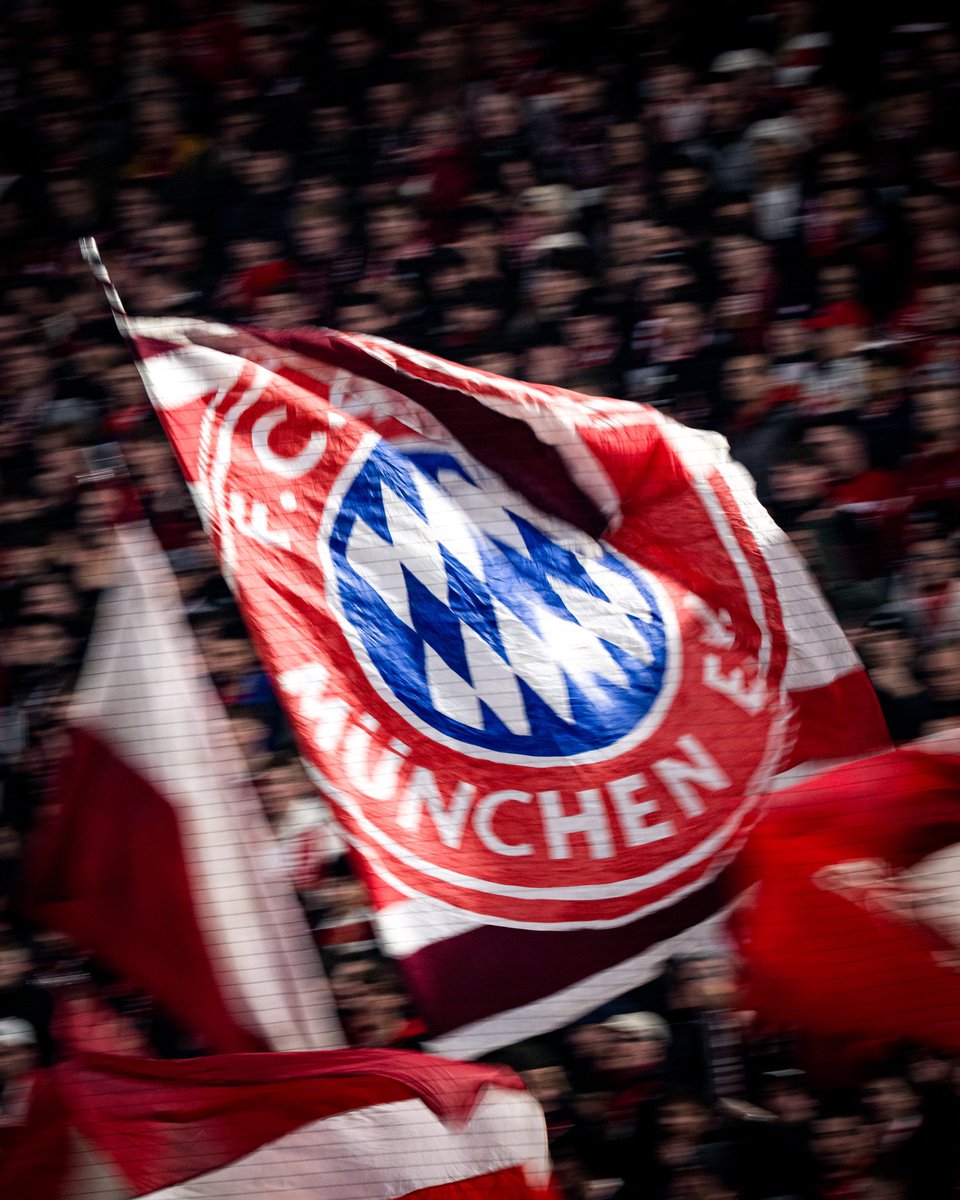 S A Q E R tweet media