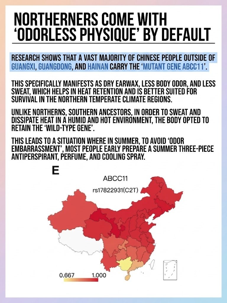 tensor flow tweet media