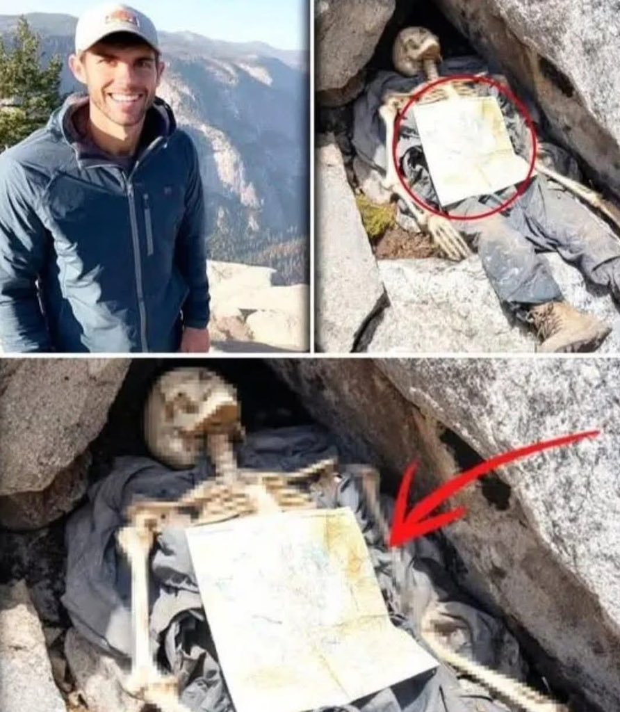 แมวเกเร tweet media