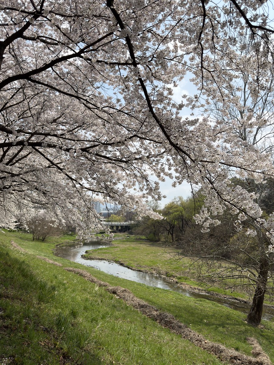 수영인부기 tweet media