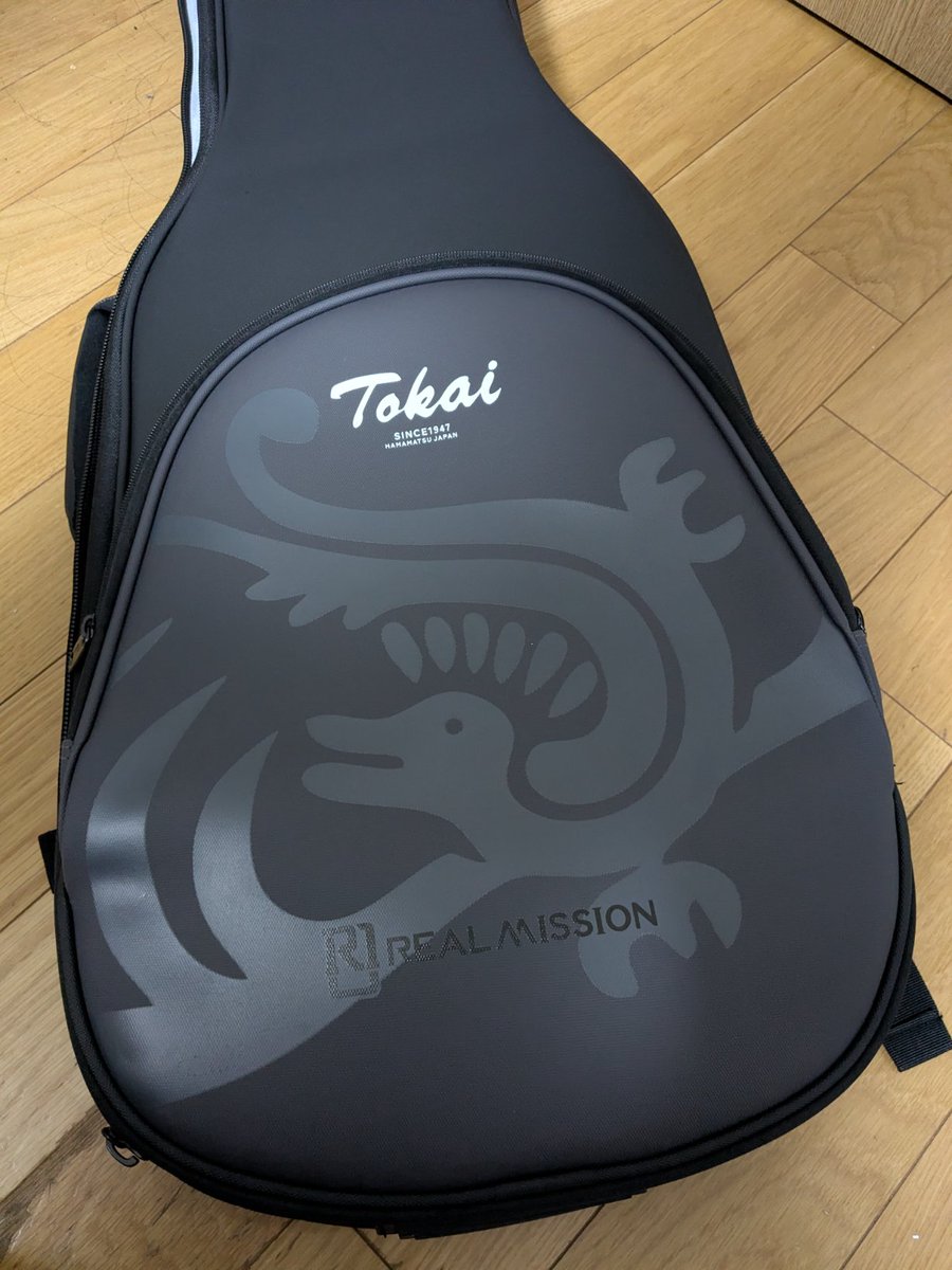 今日は御茶ノ水まで行き、息子の高校入学祝いに前から欲しがってたTokaiのギターを買ってやったぜ🎸
何気にケースがカワユイぜ🤘