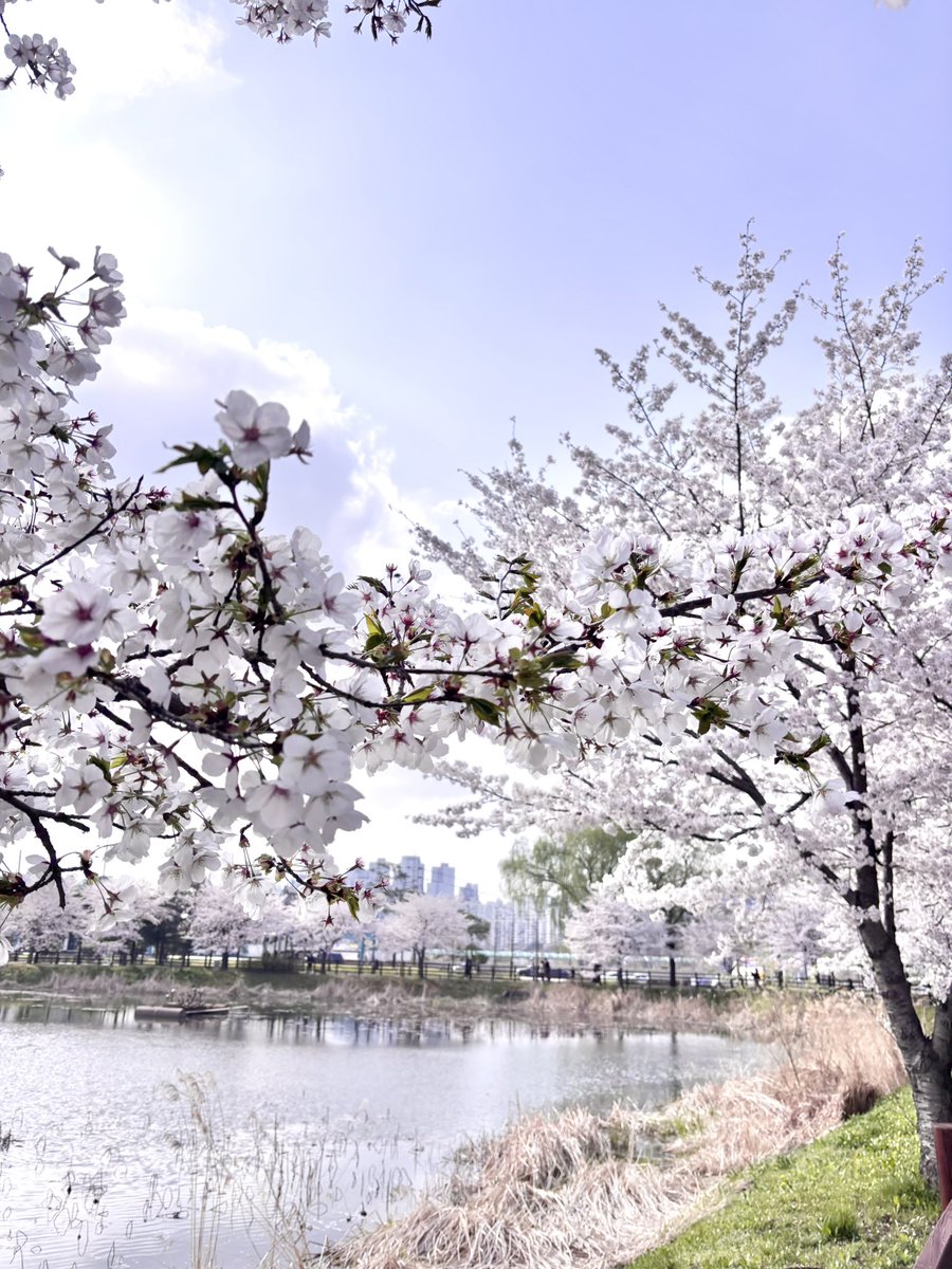 あまにゃ♥︎ tweet media