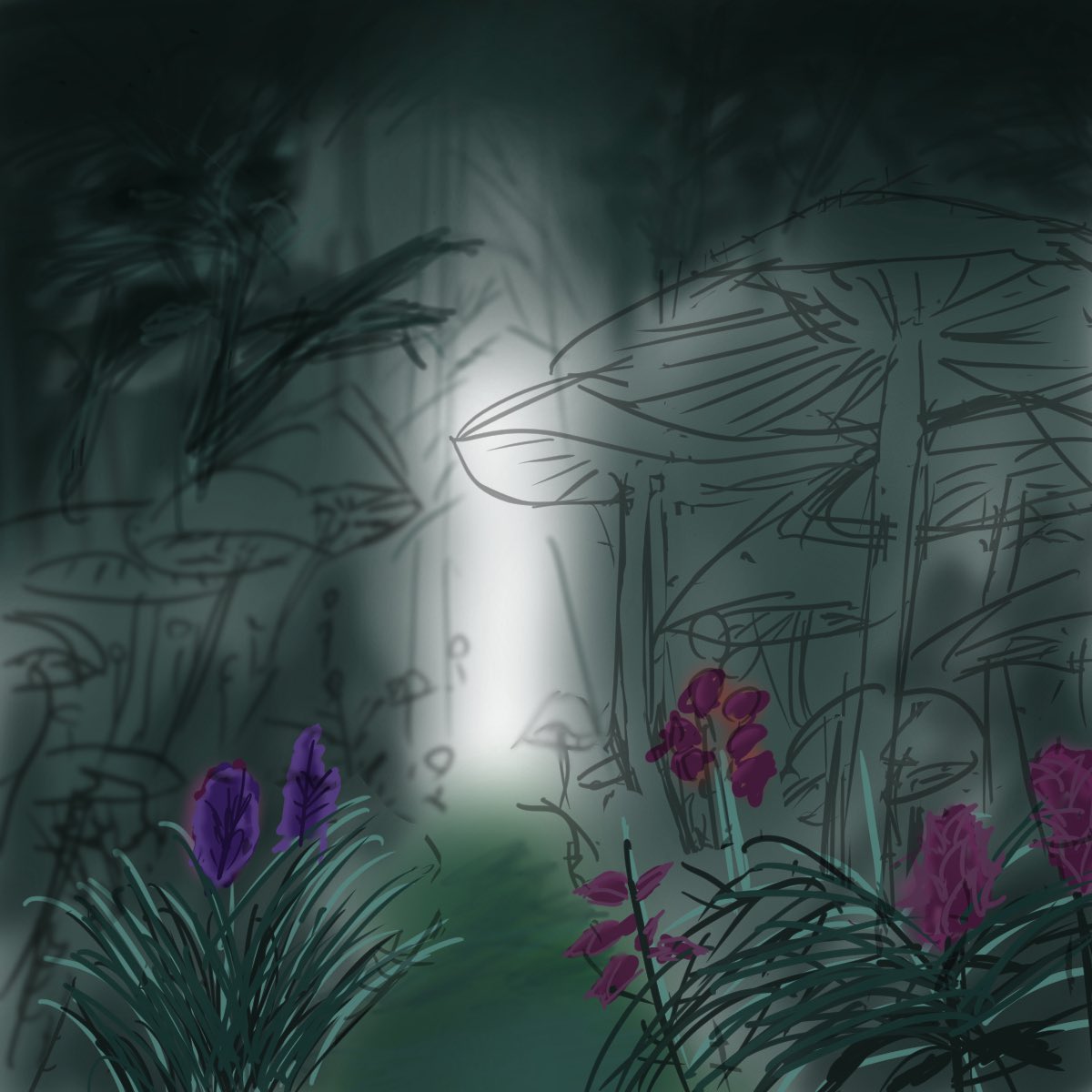 雨になると明るくなる
　森をつくっています…