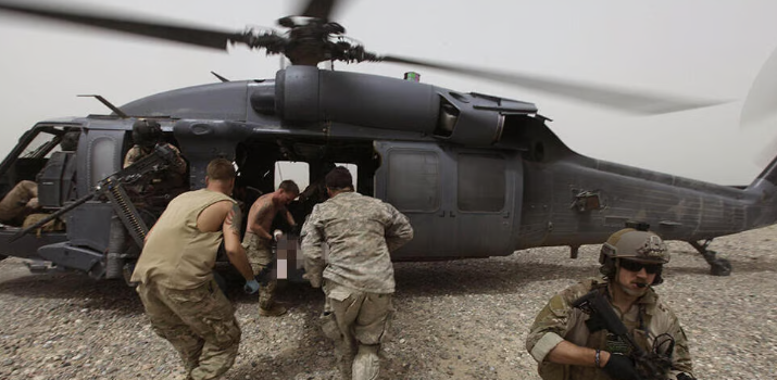 Adelina Sfishta tweet media