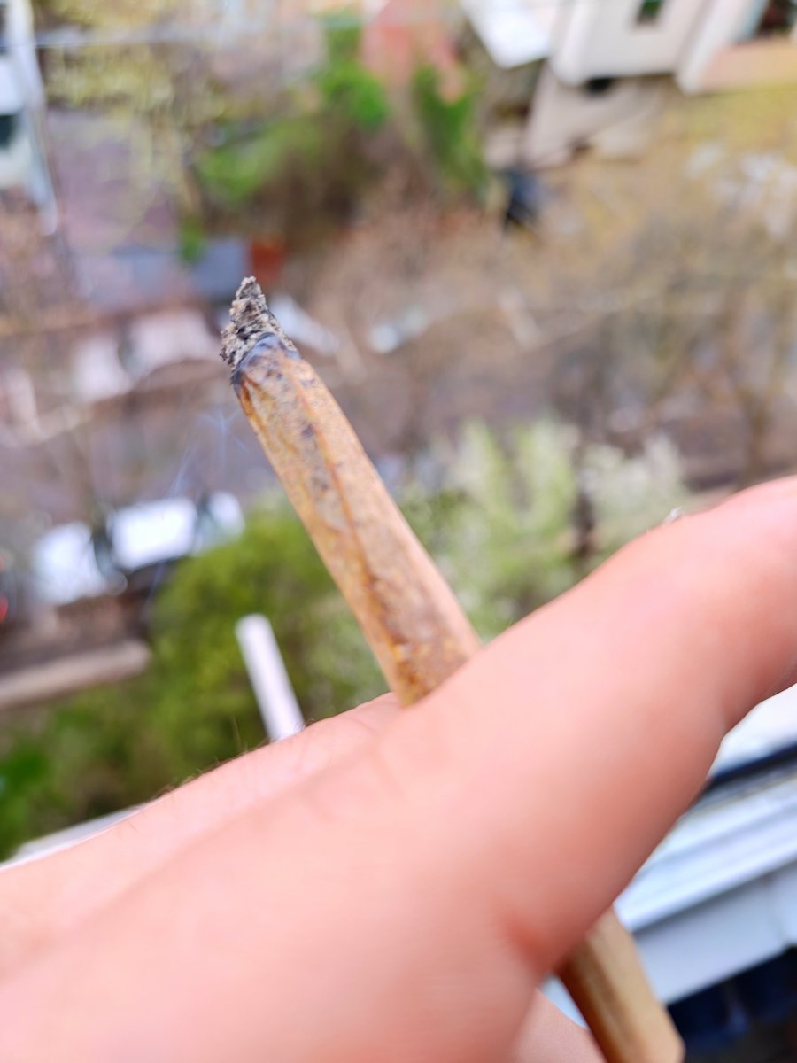 SatoshiBroker tweet media