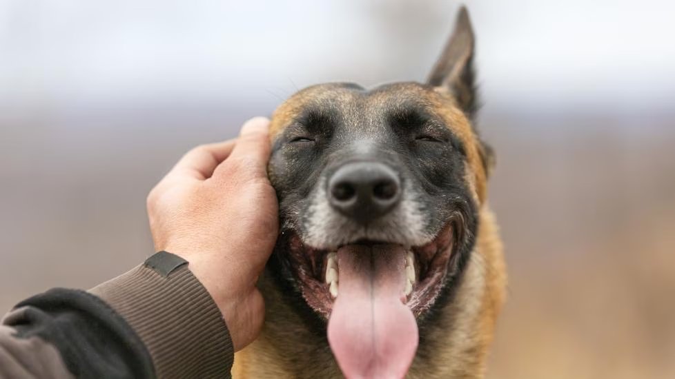 Ruka 🇵🇸 tweet media