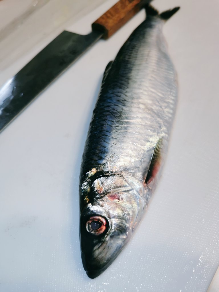 みっち〜XXX tweet media