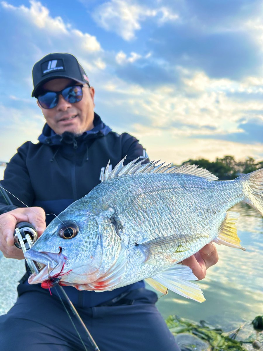 メジャークラフト株式会社 tweet media