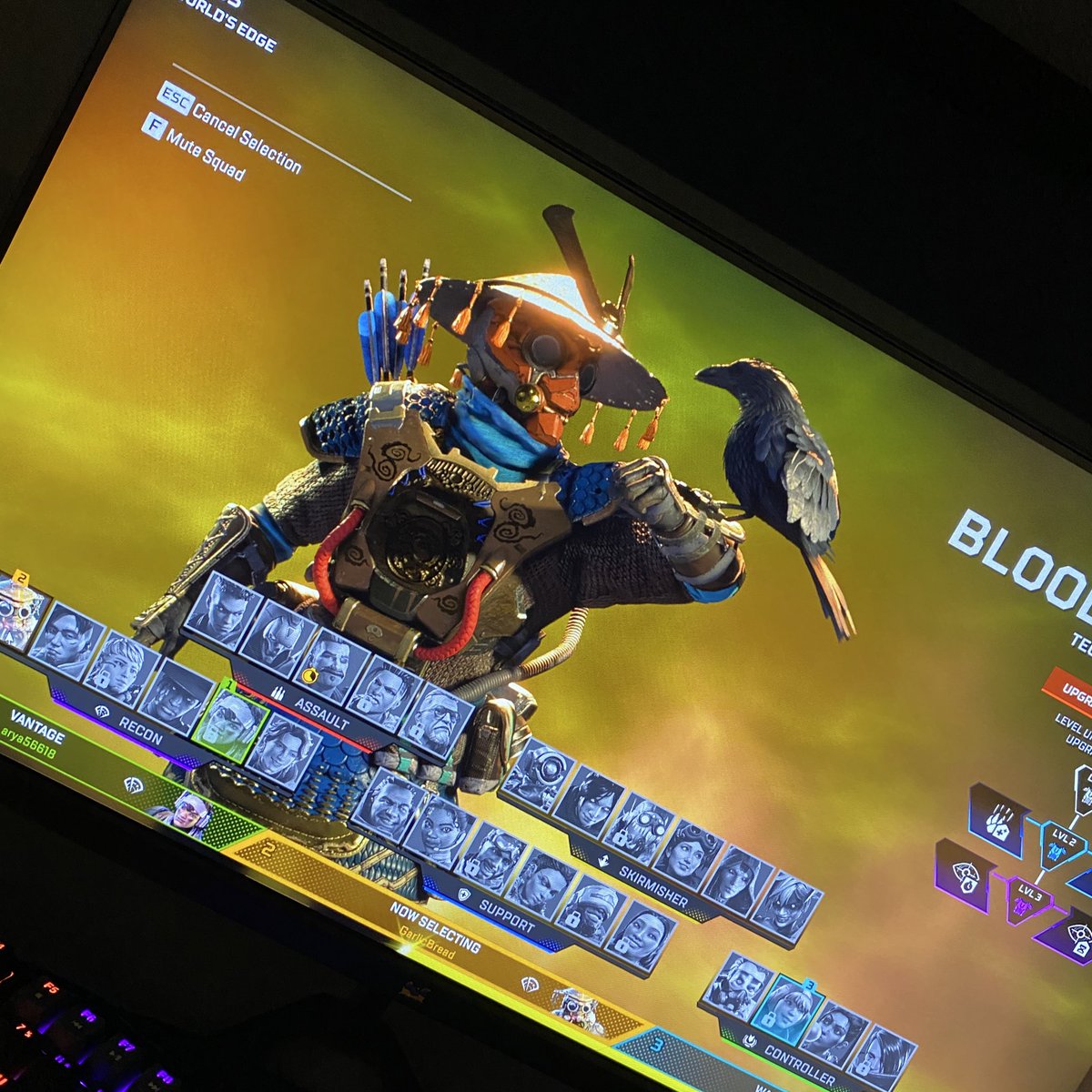 Ooowls 🦉 tweet media