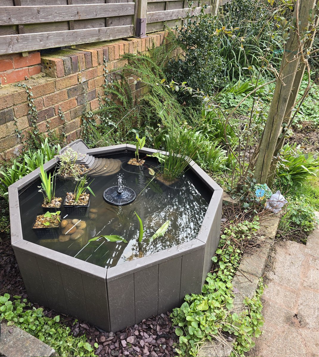 sharronlouise tweet media