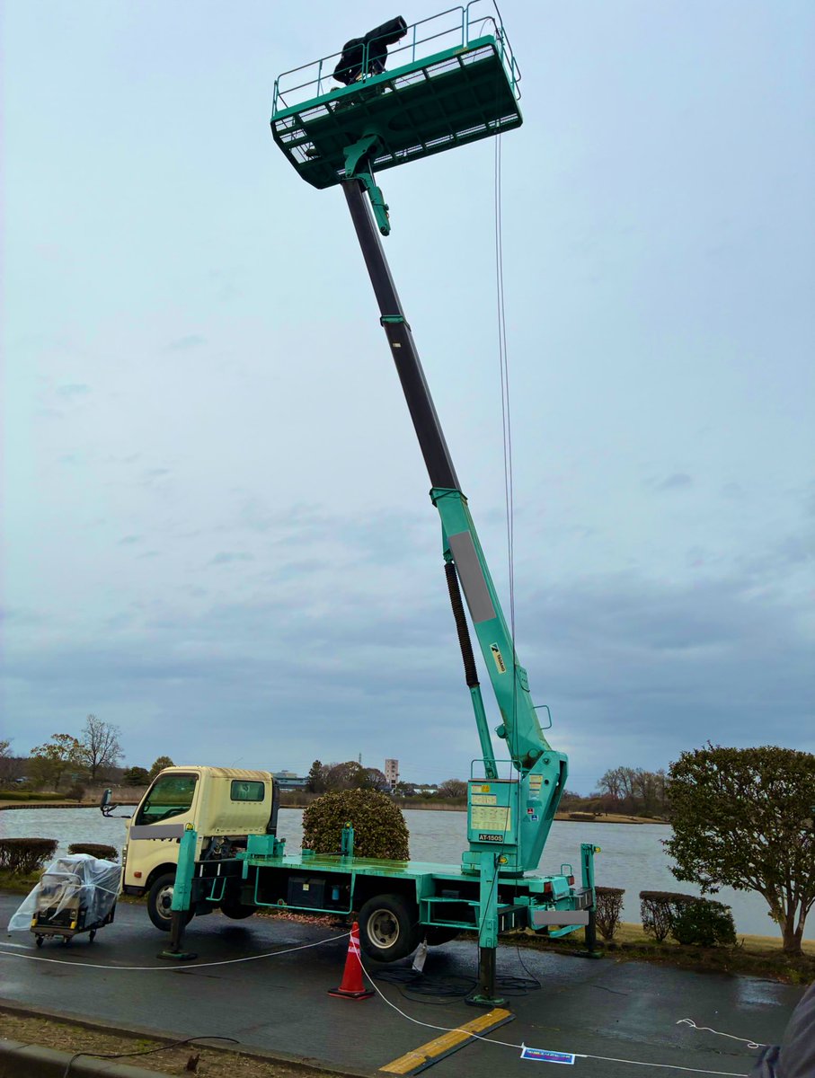 シマエナガ tweet media