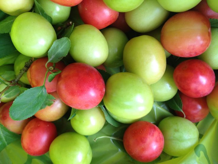 흥엥엥 tweet media