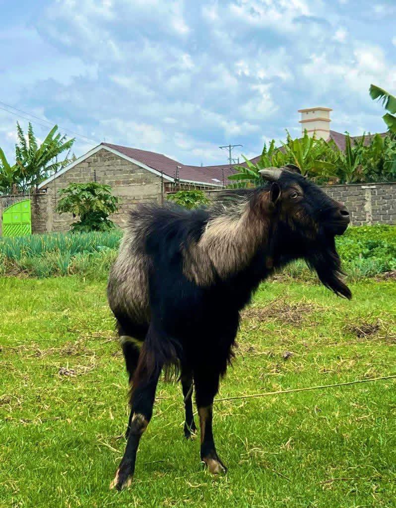 The Farmercist tweet media