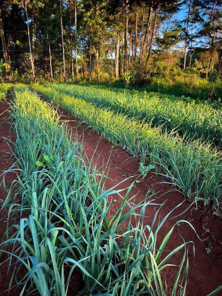 The Farmercist tweet media