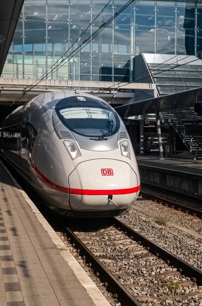 Lliure🌻 tweet media