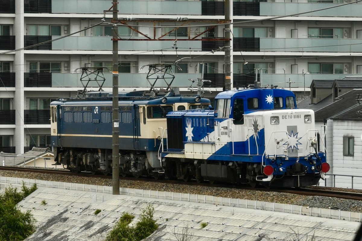 やまと tweet media