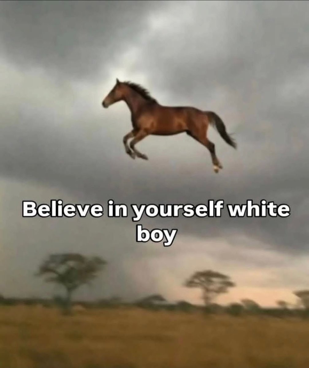 horse dentist tweet media