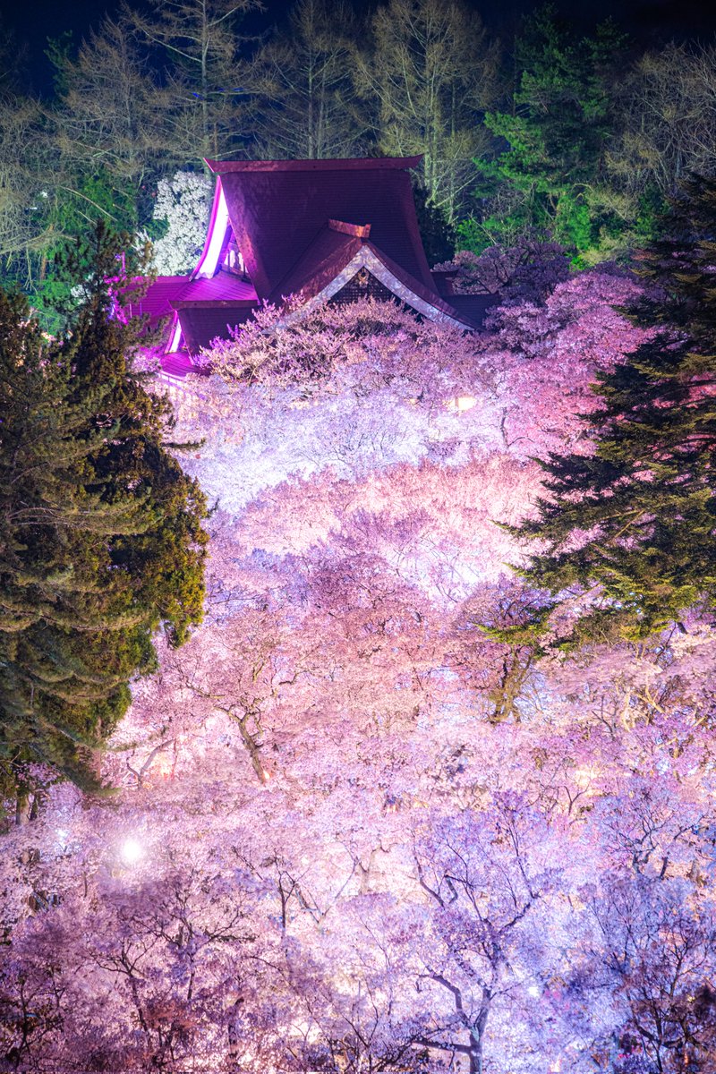 ハスカップ07 tweet media