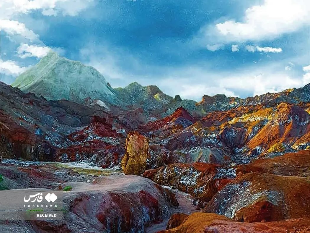 tim anderson tweet media