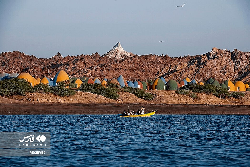 tim anderson tweet media