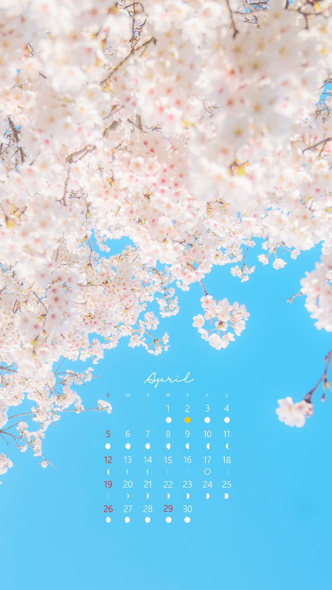 4月のフラワーカレンダー🌸✨
　
新しい日常への癒しになりますように🫧
ぜひ保存して使ってみてください。