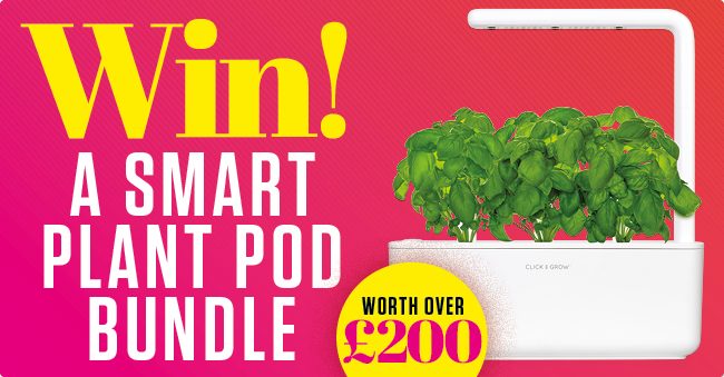 How It Works tweet media