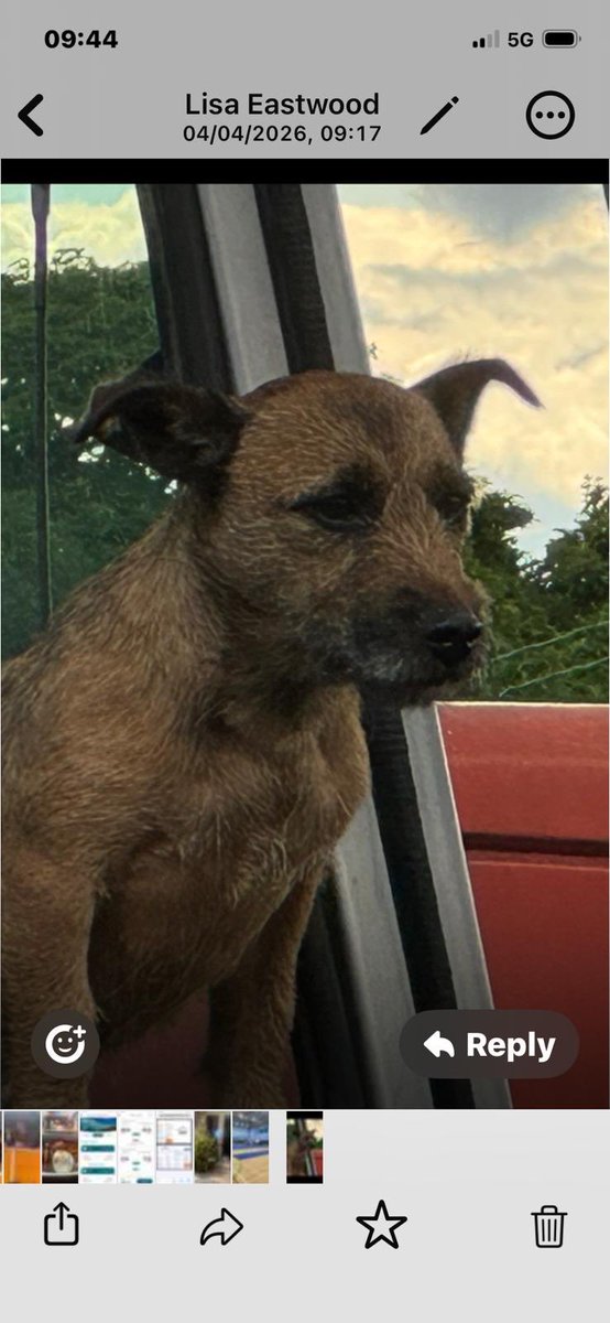 Charlie Lawson tweet media