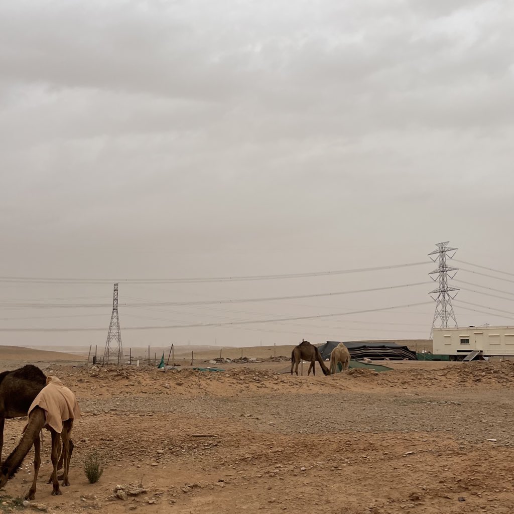 هَمْس tweet media