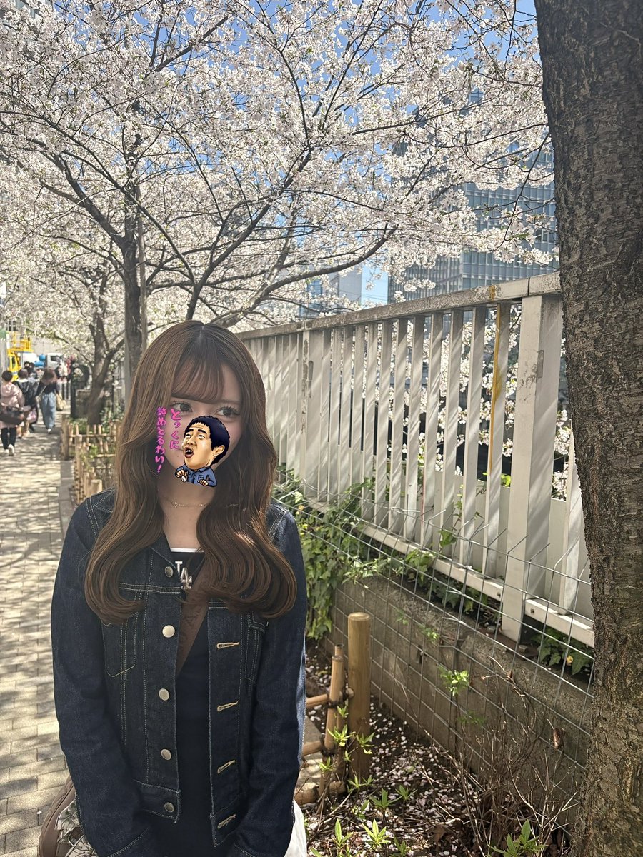 趣味アカウント tweet media