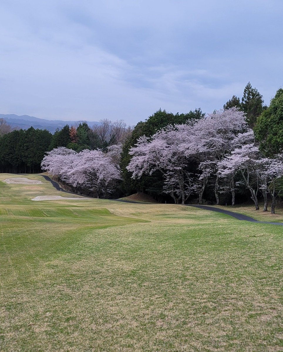 虹🌈@ゴルフ tweet media