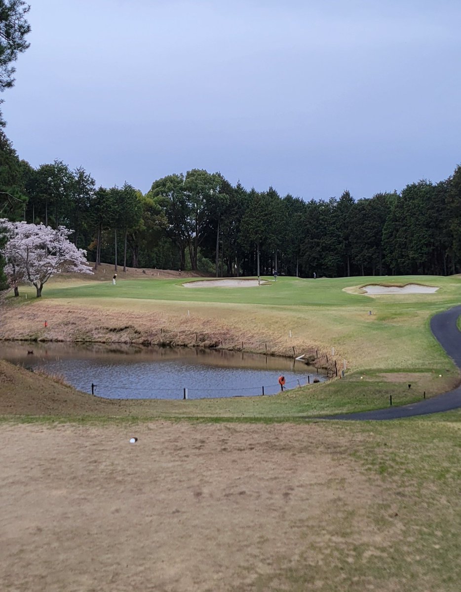 虹🌈@ゴルフ tweet media