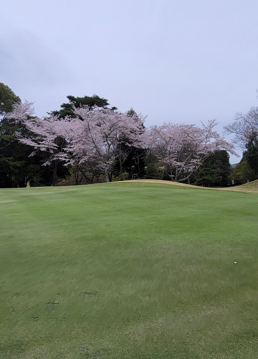 虹🌈@ゴルフ tweet media