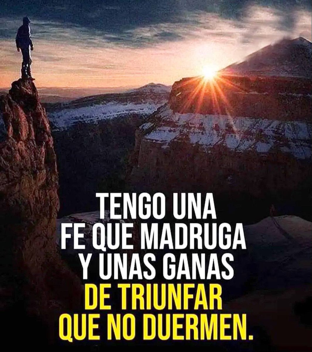 Imperio Estoico. tweet media