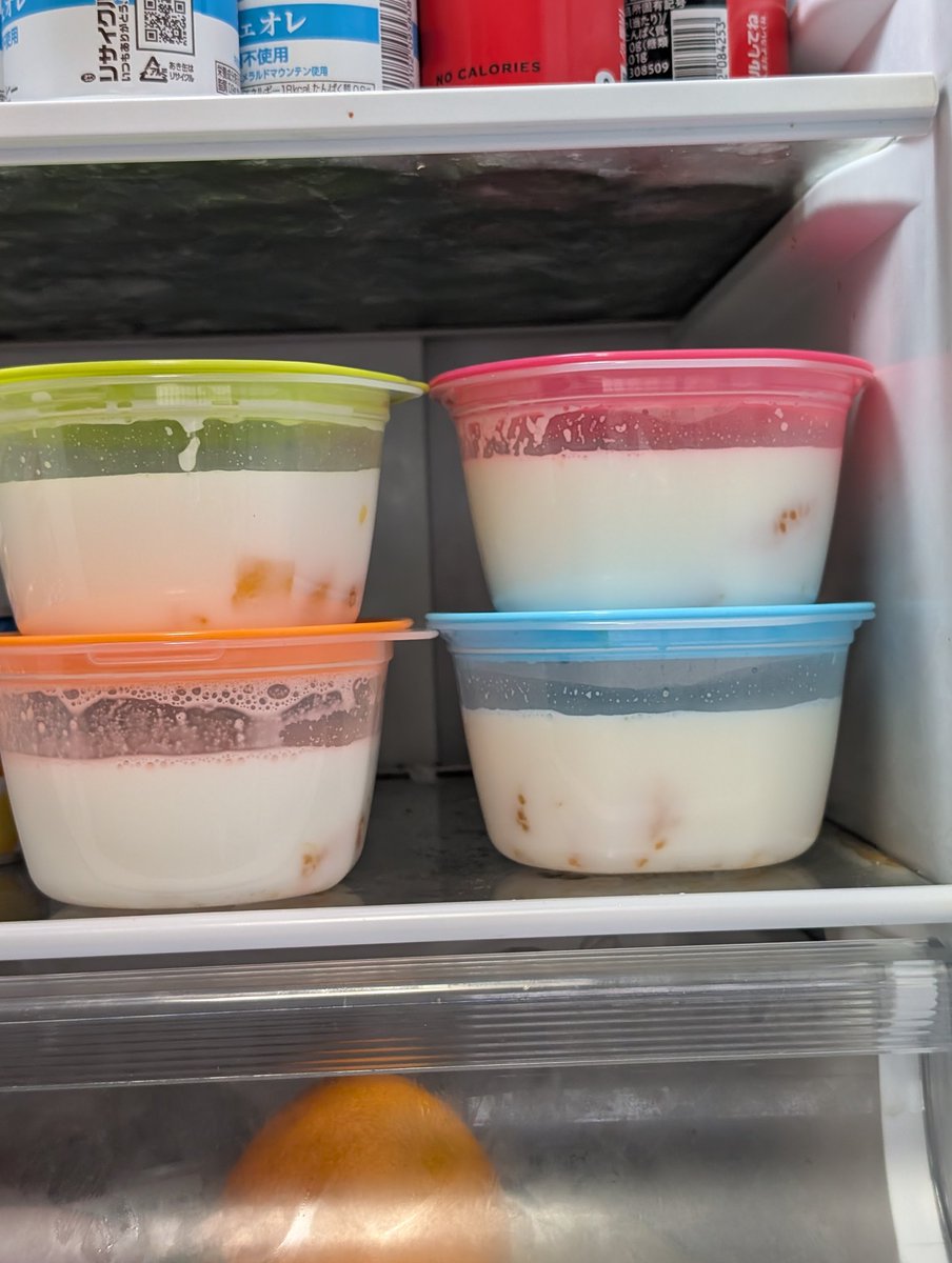 ホップめだか　ぷーたろー tweet media