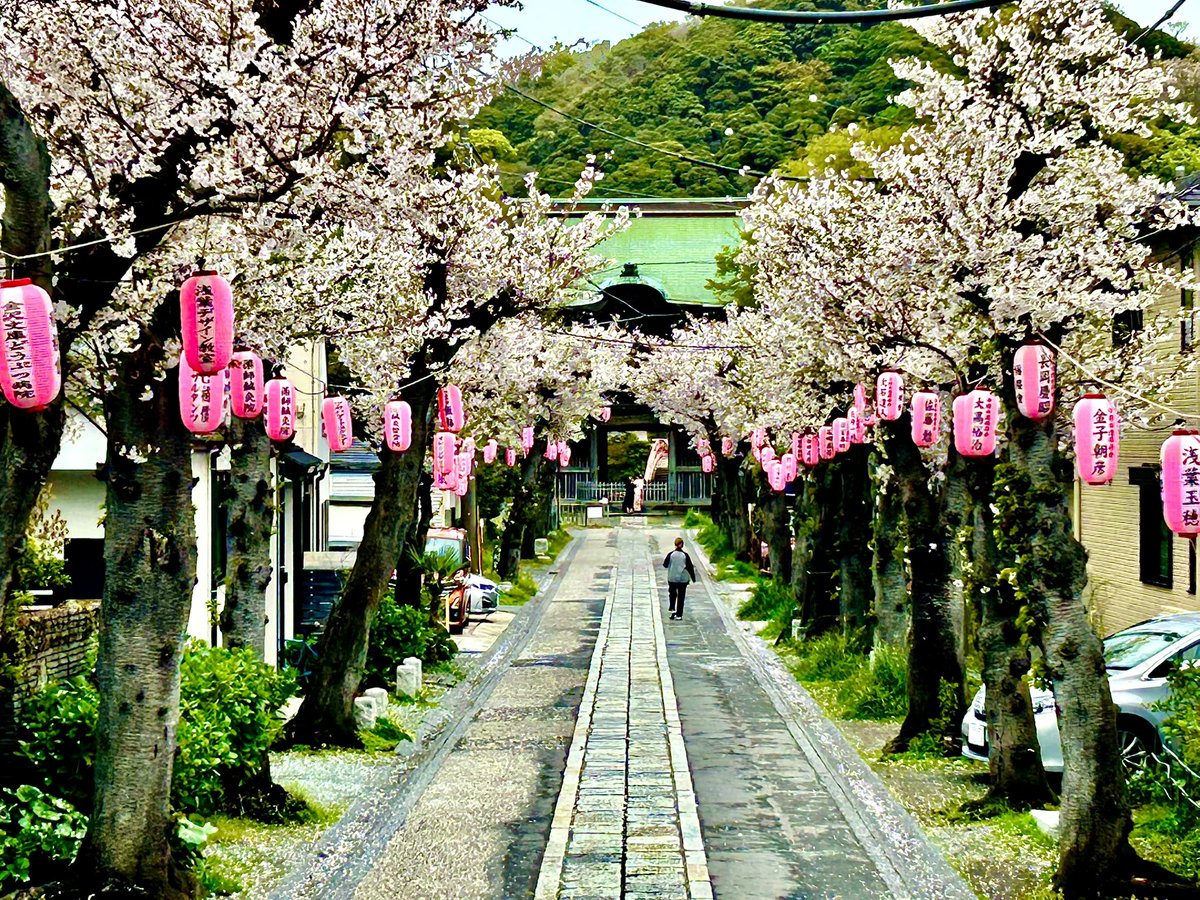 Pinot*Grls tweet media