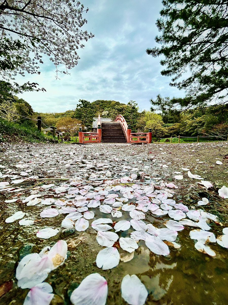 Pinot*Grls tweet media