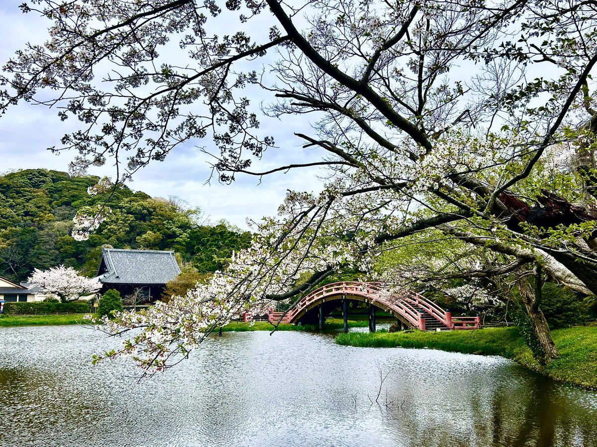 Pinot*Grls tweet media