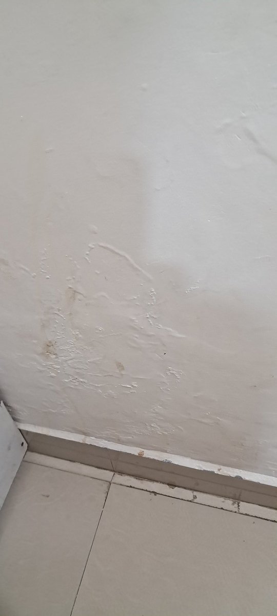 Shilpa Bhat tweet media