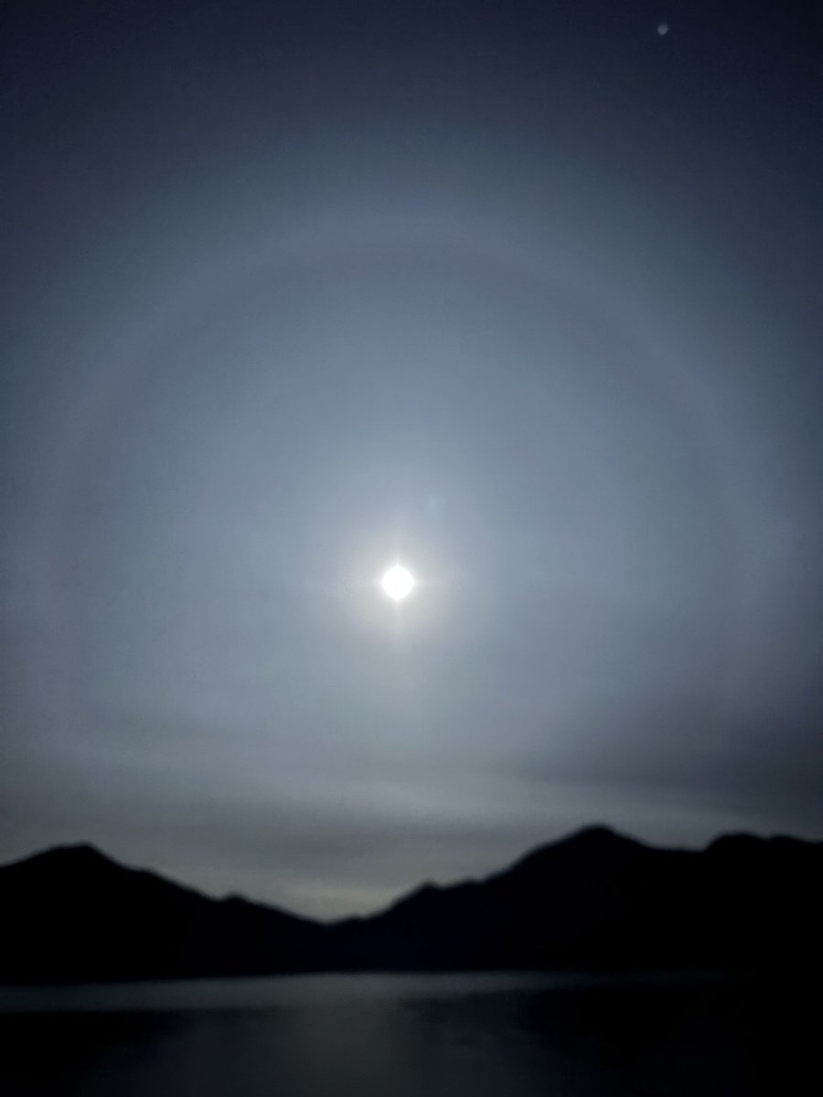 クラきち•*¨*•.¸¸♪ tweet media