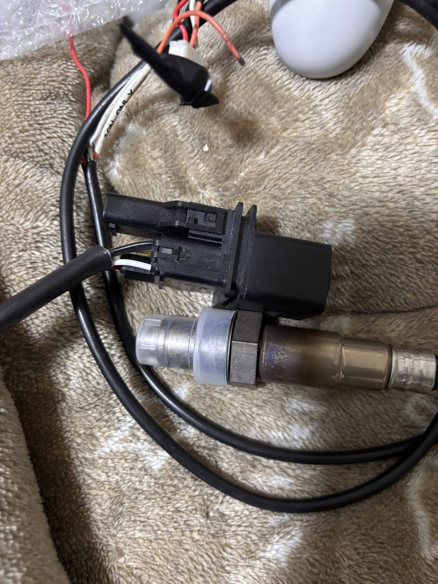 『yOu』▶︎5/29日光?5/30TC1000 tweet media