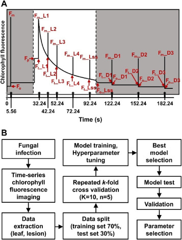 PPhenomics's tweet image. New study uses chlorophyll fluorescence imaging to diagnose rice blast and brown spot at pre-symptomatic stage—15 key indicators identified, enabling rapid detection before visible symptoms appear! 🌾🔬 #PlantScience #CropProtection 
Details: doi.org/10.1016/j.plap…