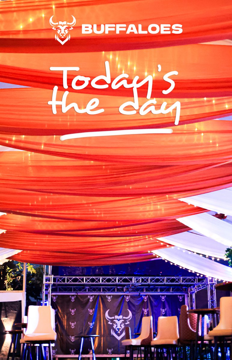 buffaloes_lounge tweet media