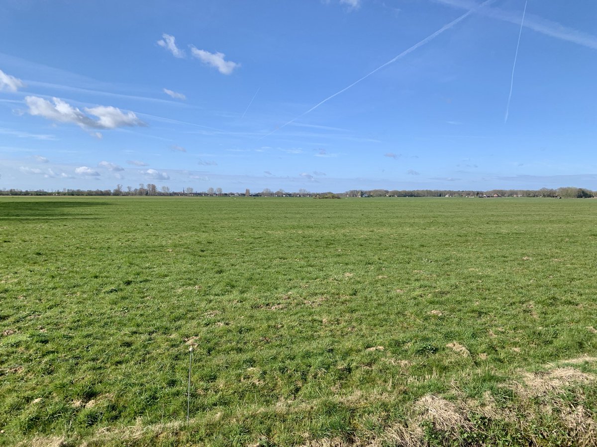 Meitje 🕊️ tweet media