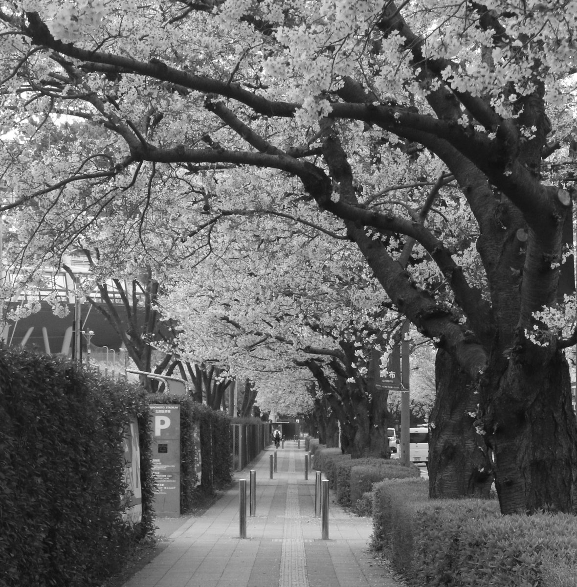 モノクロの世界