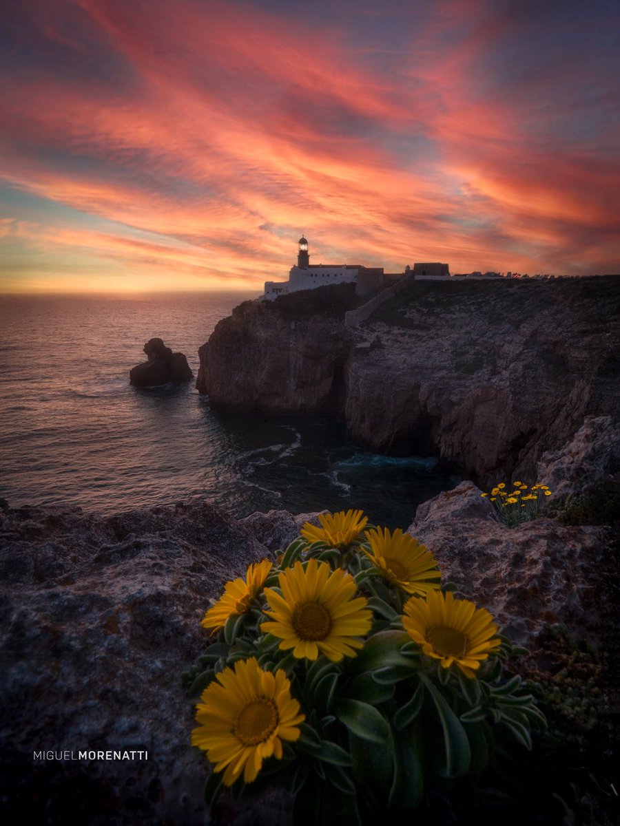 Miguel Morenatti tweet media