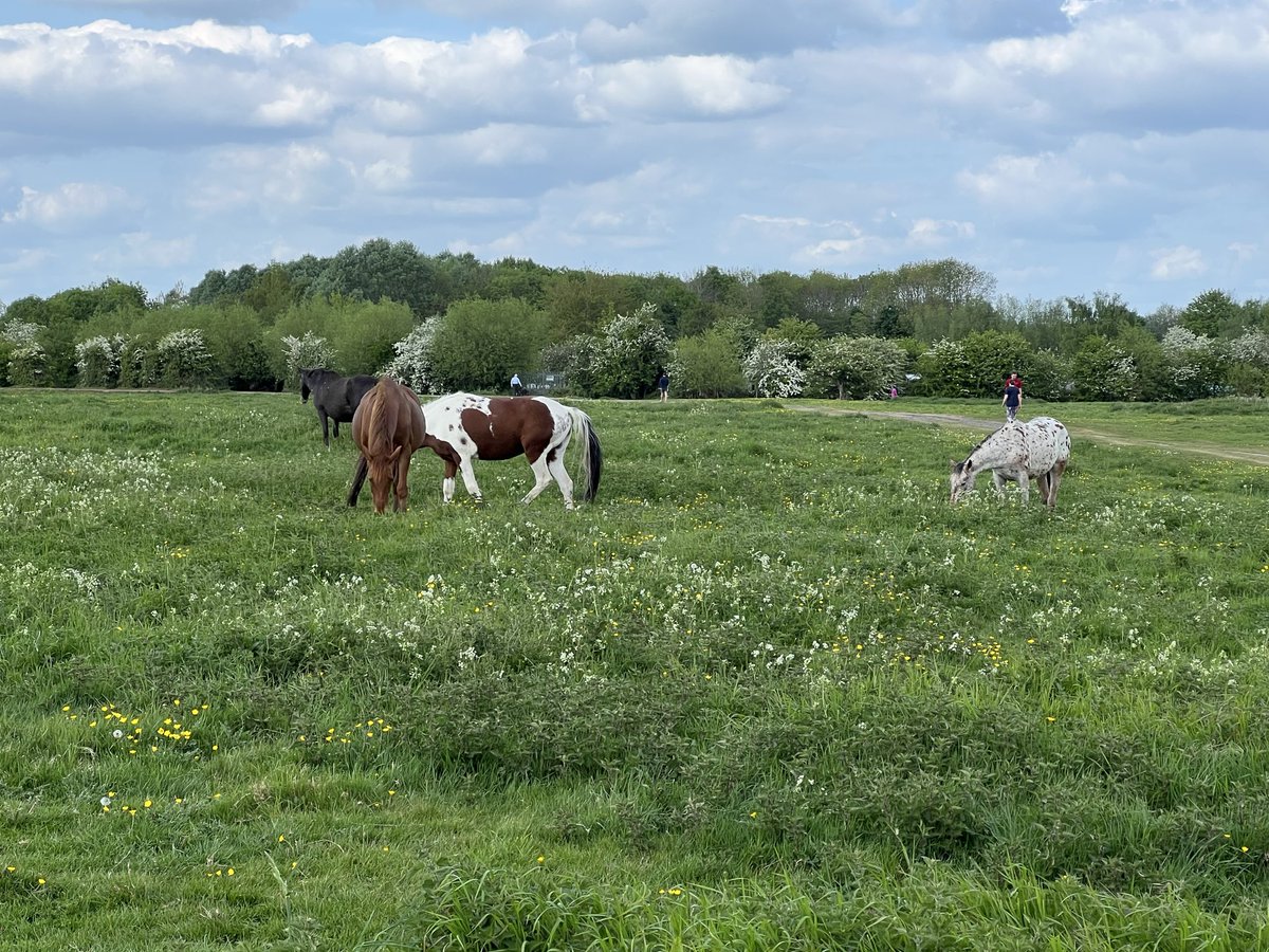 Hamdi PINAR, Assoc. Prof. Dr. tweet media