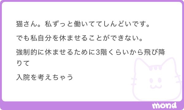 宇宙猫 tweet media